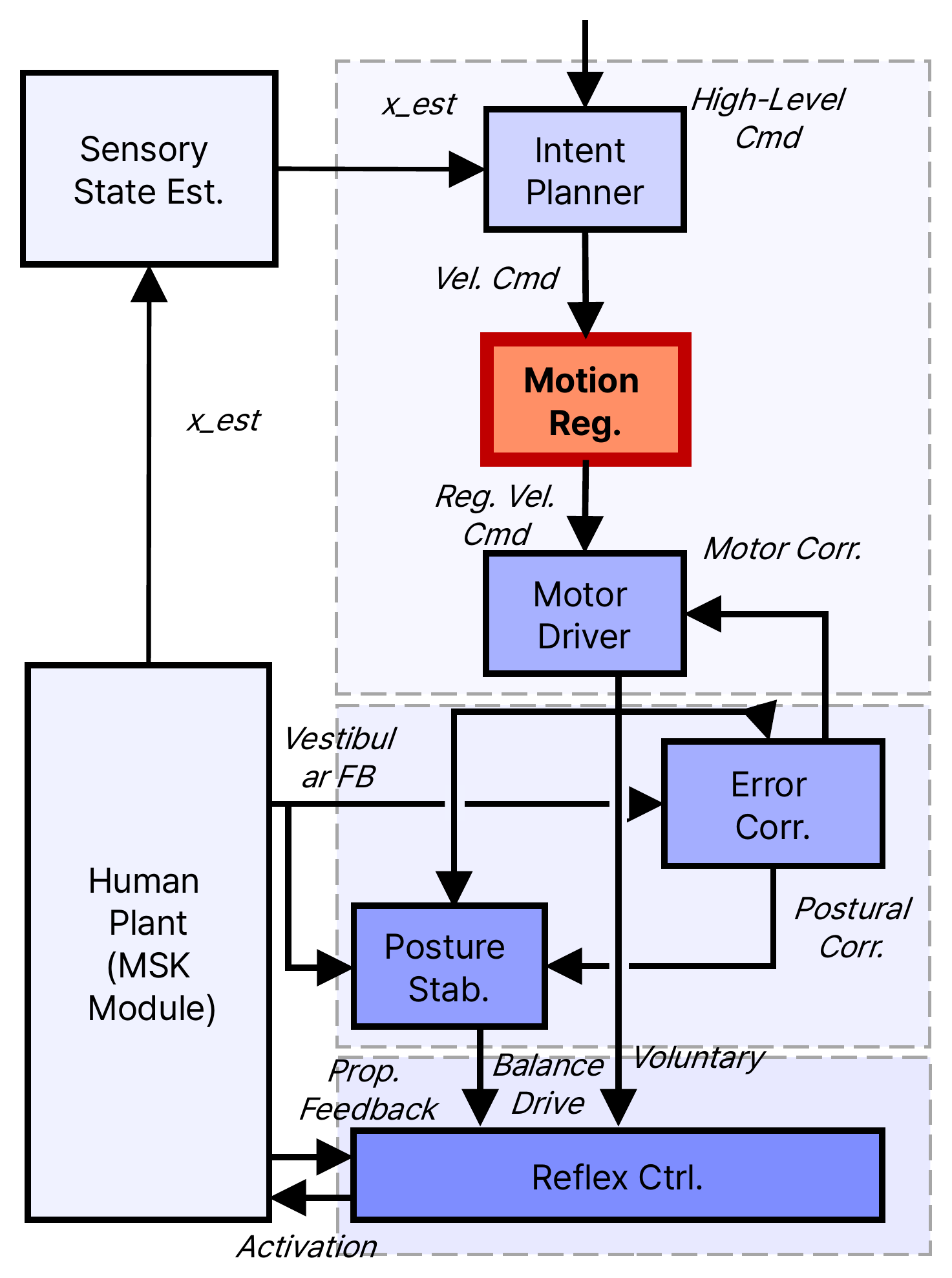 Human controller block diagram: sensory state estimation feeds the intent planner; its velocity command passes through the motion regulator (highlighted, the basal ganglia model) to the motor driver; error correction, posture stabilization and reflex control produce muscle activation for the human plant.